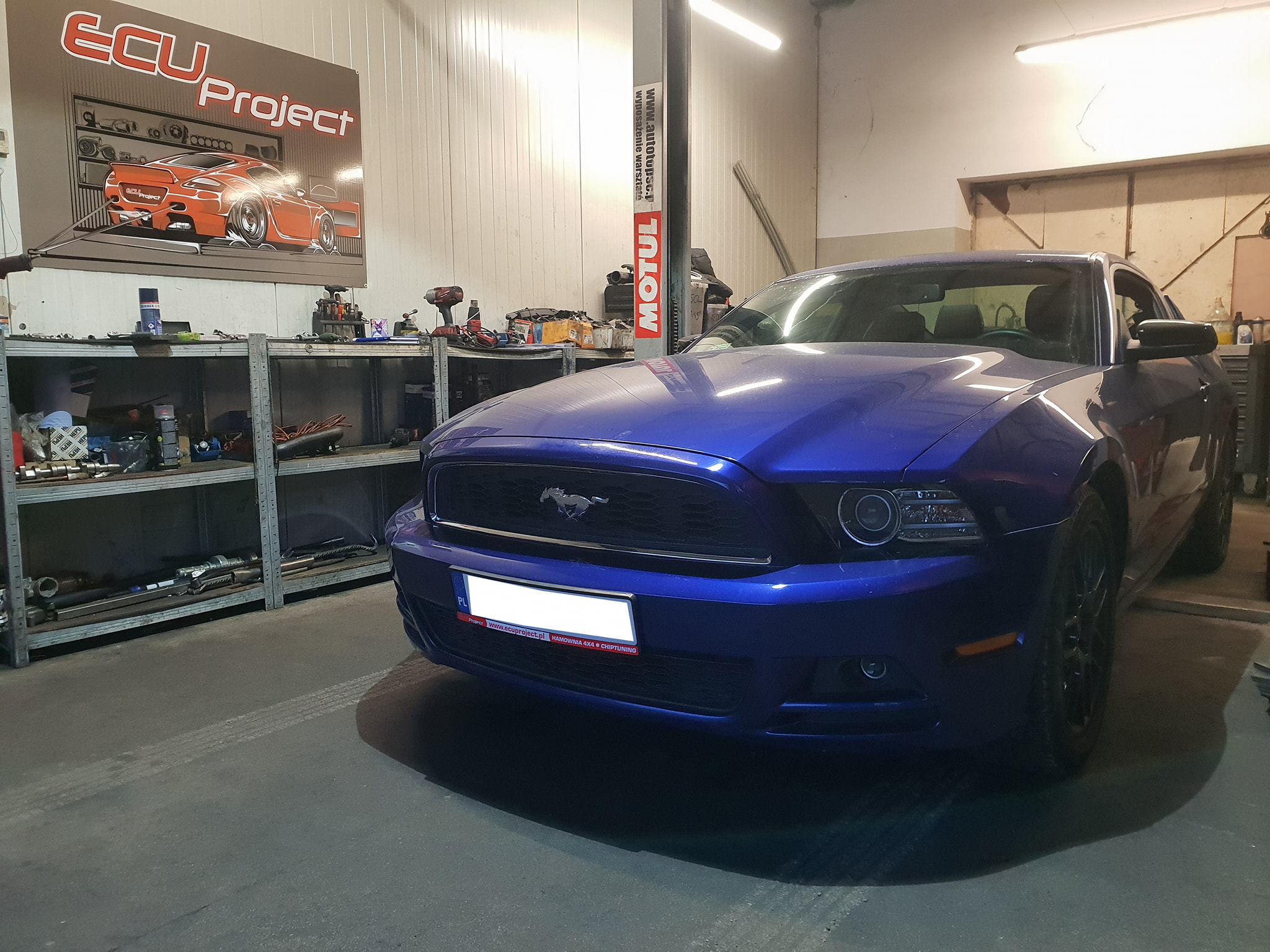 Mustang